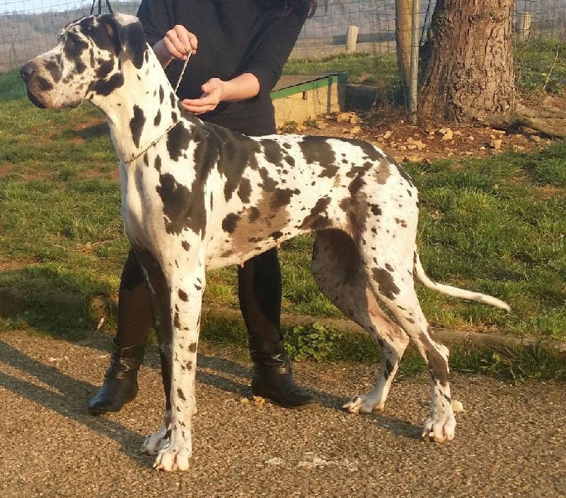 Jadis (Sans Affixe)